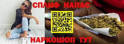 шишки Будённовск