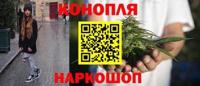 шишки Будённовск